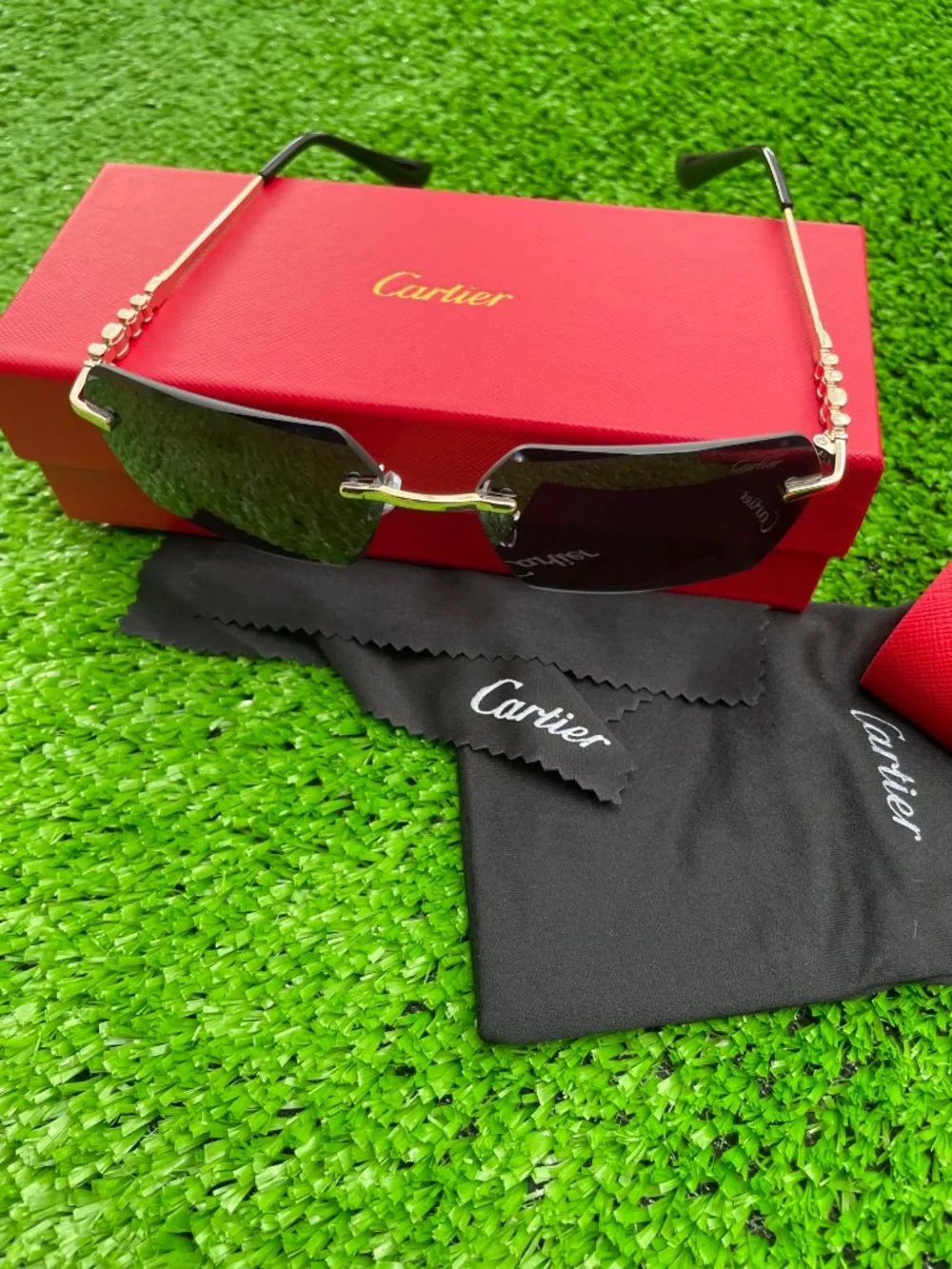 Cartier sophisticated men